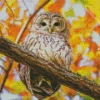 autumn owl Diamond Paintings