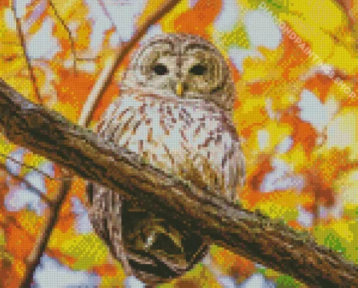 autumn owl Diamond Paintings