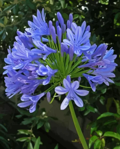 blue Agapanthus Diamond By Numbers