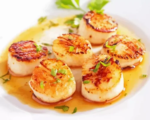 Scallops Meal Diamond By Numbers