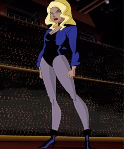 Black canary superhero Diamond Paints