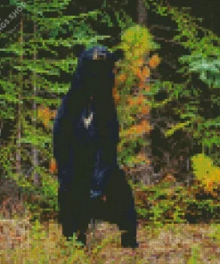Dancing bear in forest Diamond Dotz