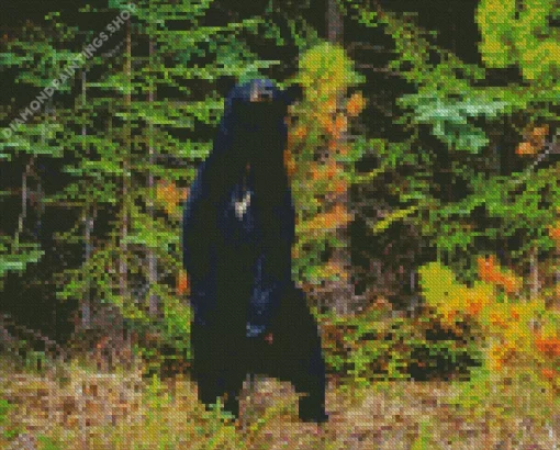 Dancing bear in forest Diamond Dotz