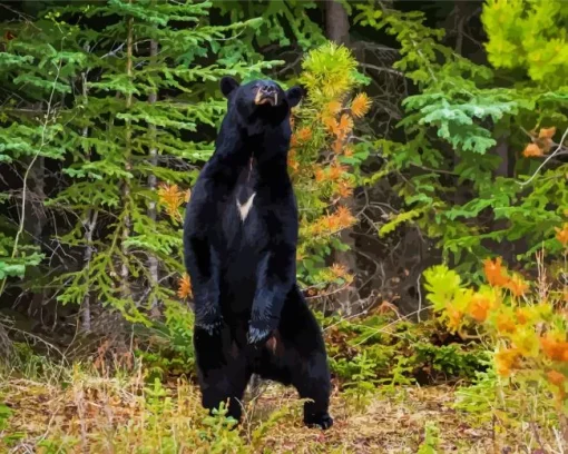 Dancing bear in forest Diamond Dotz