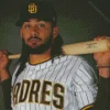 Fernando Tatis Jr dominican baseballer Diamond Paints