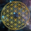 Flower of life Diamond Paintings