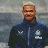 Joelinton footballer Diamond Paints