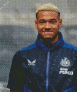 Joelinton footballer Diamond Paints