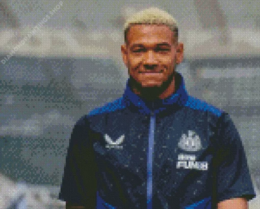 Joelinton footballer Diamond Paints