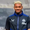 Joelinton footballer Diamond Paints