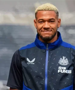 Joelinton footballer Diamond Paints