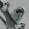 Monochrome Douglas C 47 Skytrain Aircarft Diamond Paints