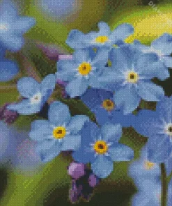 Scorpion grasses Forget me nots Diamond Dotz