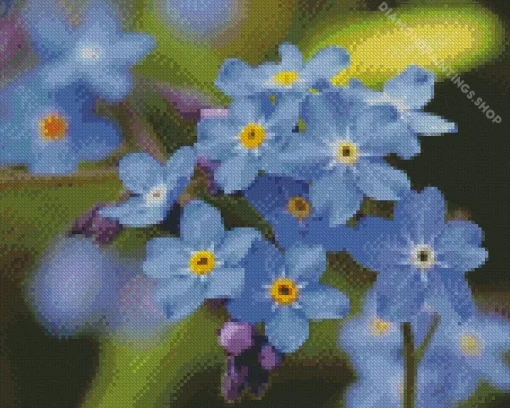 Scorpion grasses Forget me nots Diamond Dotz