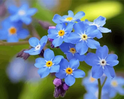 Scorpion grasses Forget me nots Diamond Paints