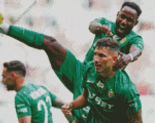 Slask Wroclaw Players Diamond Paints