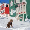 Snowy St Johns Diamond Paints