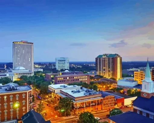 Tallahassee City Sunset Diamond Paints