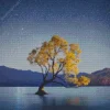 Wanaka tree Diamond By Numbers