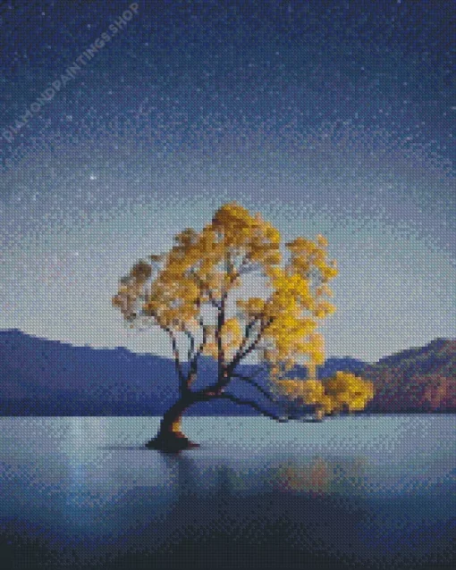 Wanaka tree Diamond By Numbers