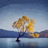 Wanaka tree Diamond By Numbers