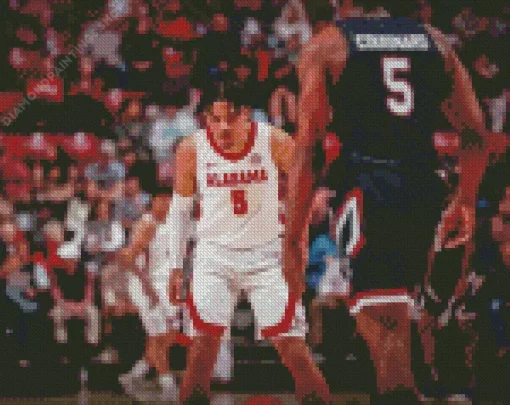 basketball player Alabama Crimson Tide mens basketball Diamond Dotz