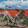 bike and flowers Diamond Paints
