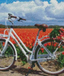 bike and flowers Diamond Paints