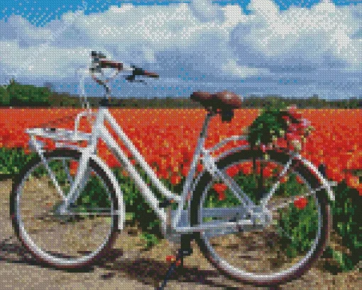 bike and flowers Diamond Paints