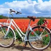 bike and flowers Diamond Paints