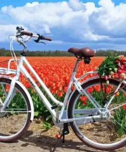bike and flowers Diamond Paints