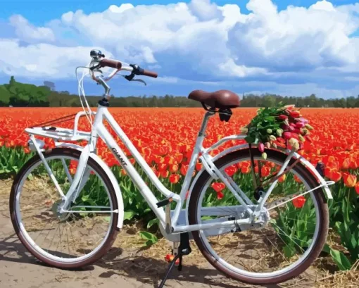 bike and flowers Diamond Paints