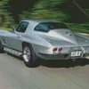 grey 67 stingray Diamond Paints