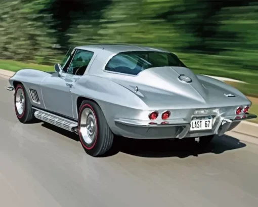 grey 67 stingray Diamond Paints
