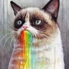 rainbow Cat grumpy Diamond Paintings