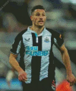 swiss football player Fabian schar Diamond Dotz