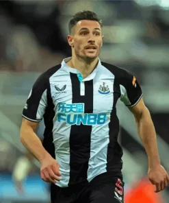 swiss football player Fabian schar Diamond Dotz