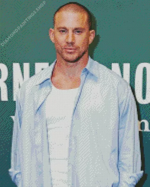the actor Channing Tatum Diamond Paintings