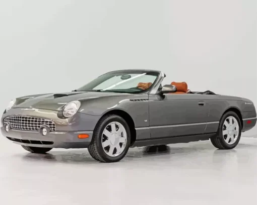 2003 ford thunderbird Diamond With Numbers