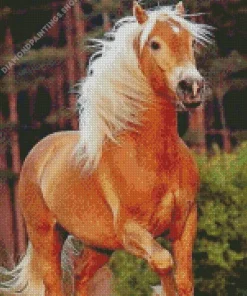 Brown Horse With Blond Hair Diamond Dotz