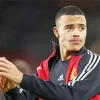 Mason Greenwood the footballer Diamond Paintings