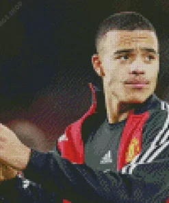 Mason Greenwood the footballer Diamond Paintings