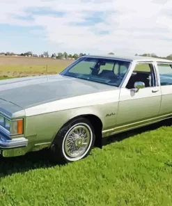Oldsmobile Delta 88 Diamond Paintings