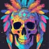 aboriginal skull Diamond Paintings