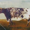 aesthetic fat cow Diamond Paintings