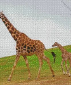 baby and mom giraffe Diamond Paintings