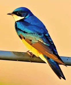 bird on a wire Diamond Paintings