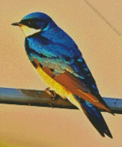 bird on a wire Diamond Paintings