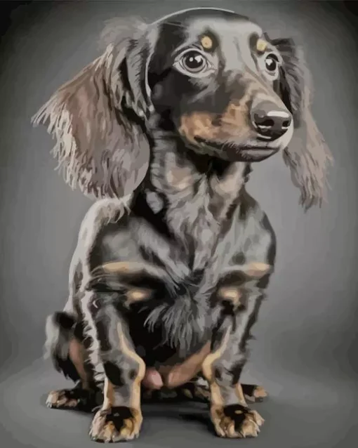 black wiener dog long hair dog Diamond With Numbers