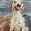blond dalmatian dog Diamond Paintings